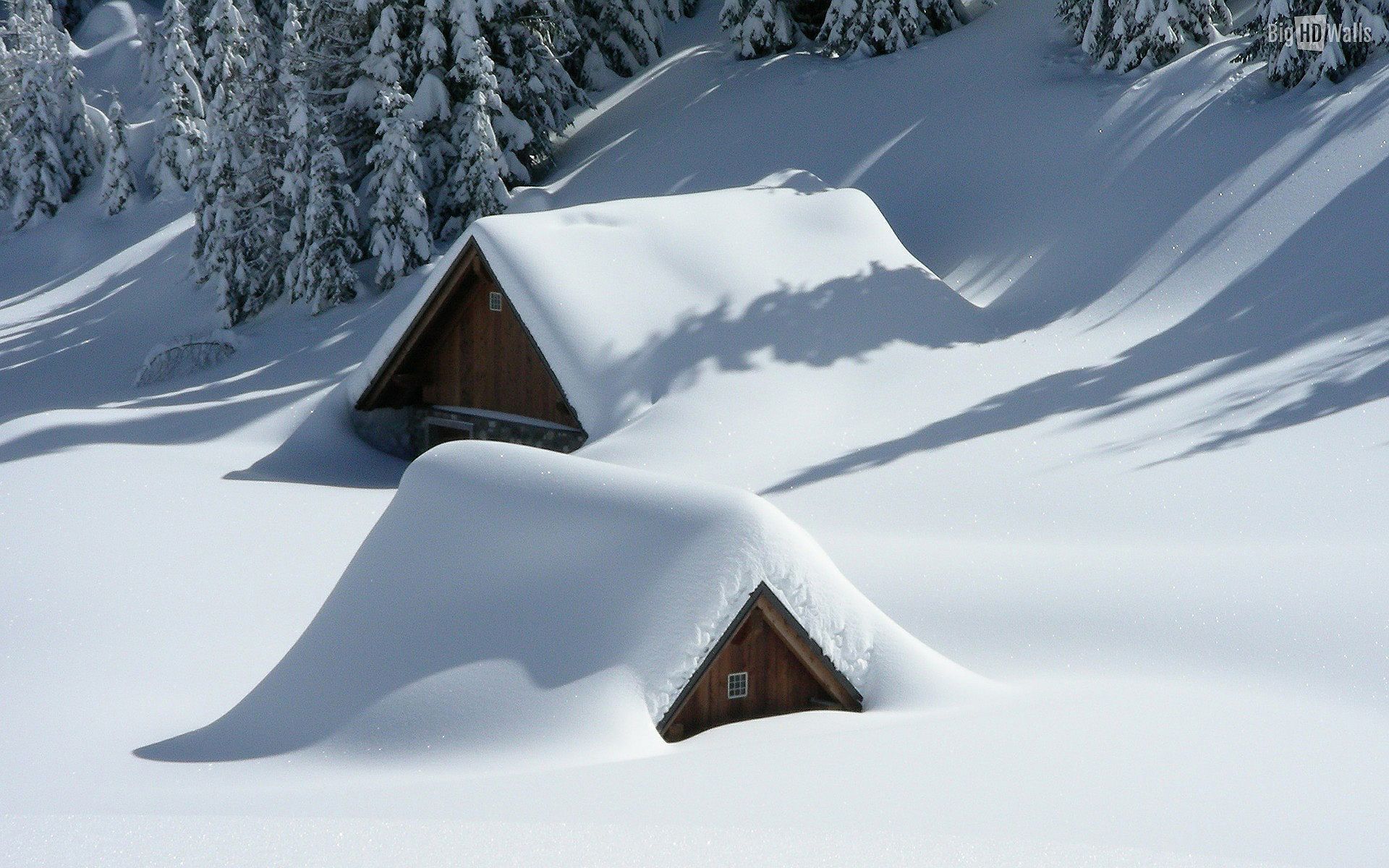 Winter is the best time to buy a house